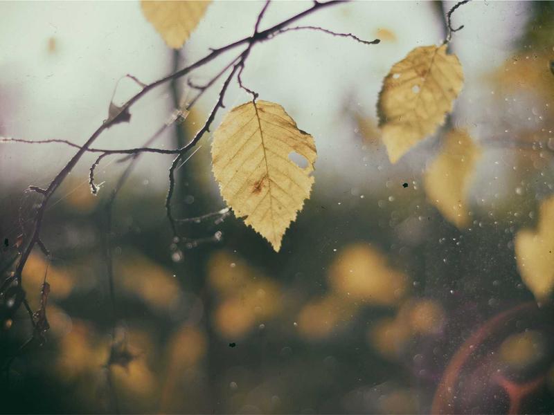 红楼梦魇<br>qyi4ujty.cn 太虚幻境判词
